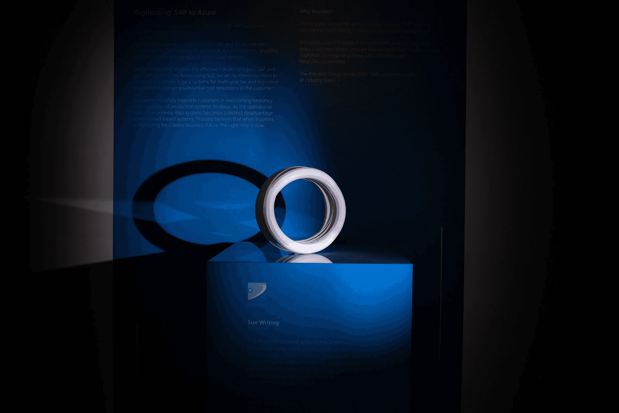 Ring sculpture displayed as part of Microsoft Art of Work